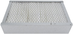 PA3613 Cab Air Element for BALDWIN