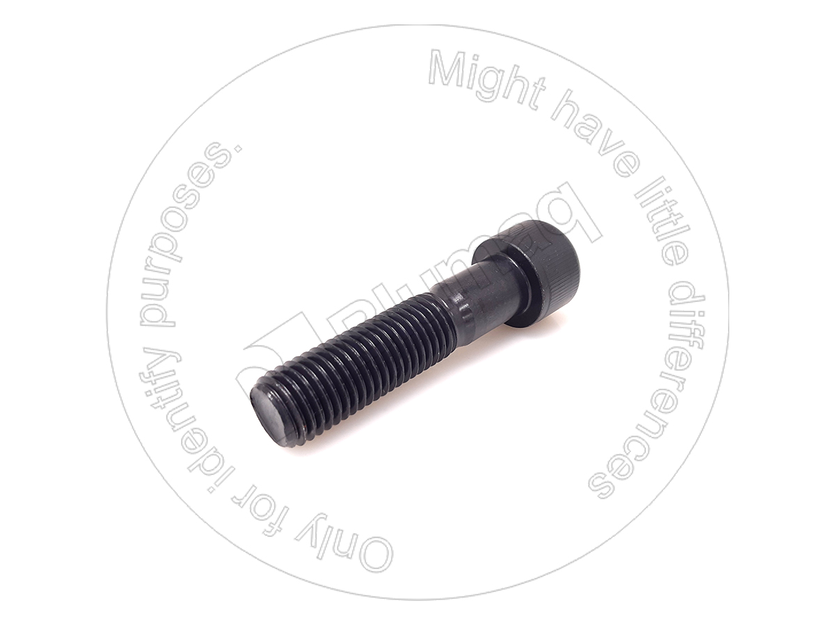 443-4779 Allen Bolt