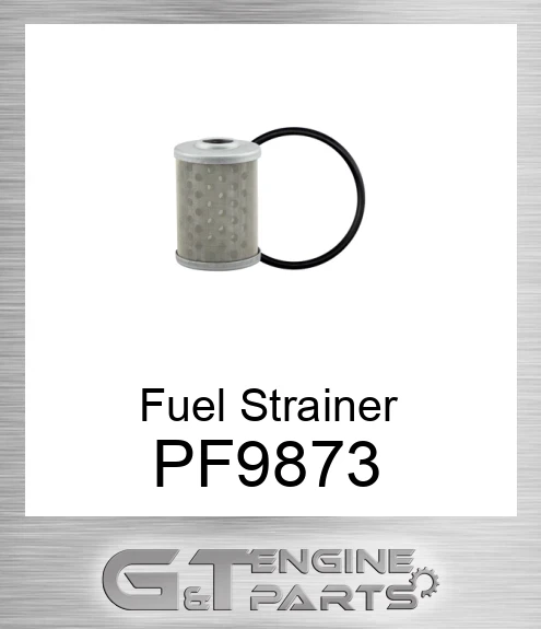 PF9873 Fuel Strainer