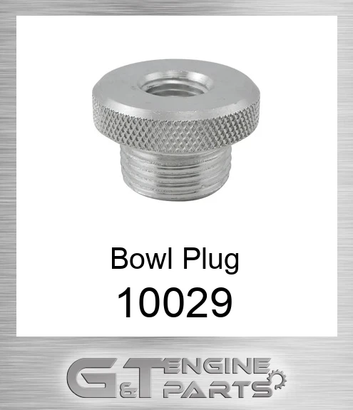 100-29 Bowl Plug