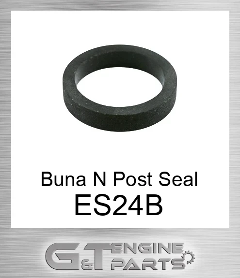 ES24-B Buna N Post Seal