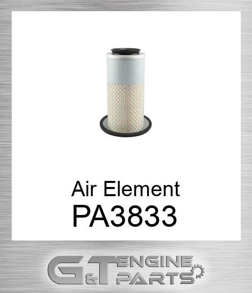 PA3833 Air Element