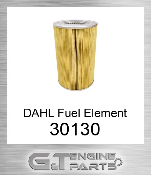 301-30 DAHL Fuel Element