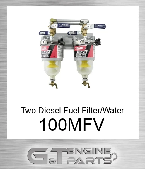 100-MFV Two Diesel Fuel Filter/Water Separators Manifolded with Shut-Off Valves