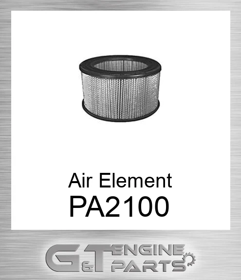 PA2100 Air Element