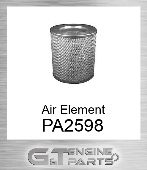 PA2598 Air Element