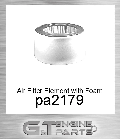 pa2179 Air Filter Element with Foam Wrap