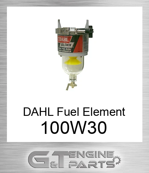 100-W30 DAHL Fuel Element