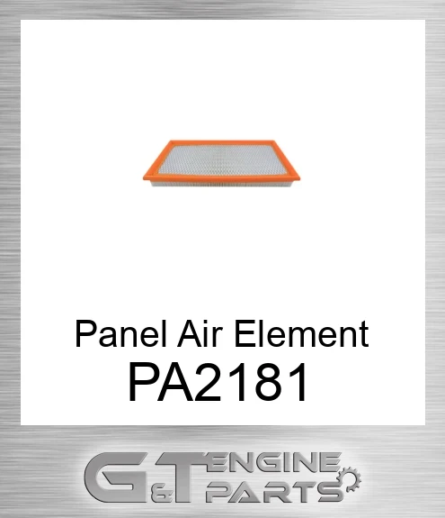 PA2181 Panel Air Element