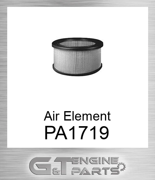PA1719 Air Element