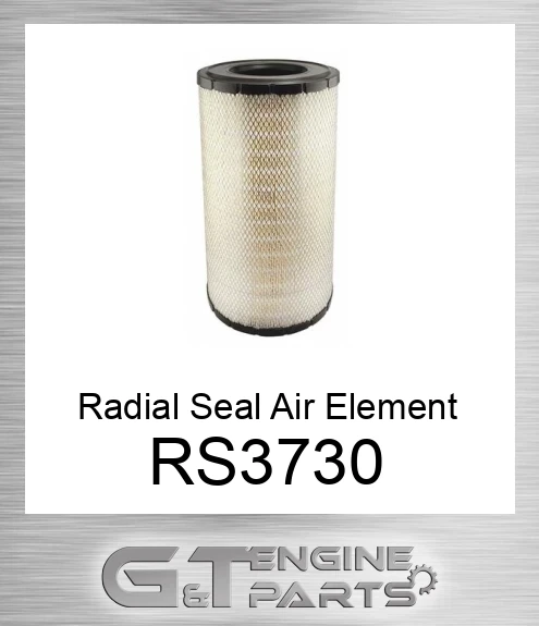 RS3730 Radial Seal Air Element