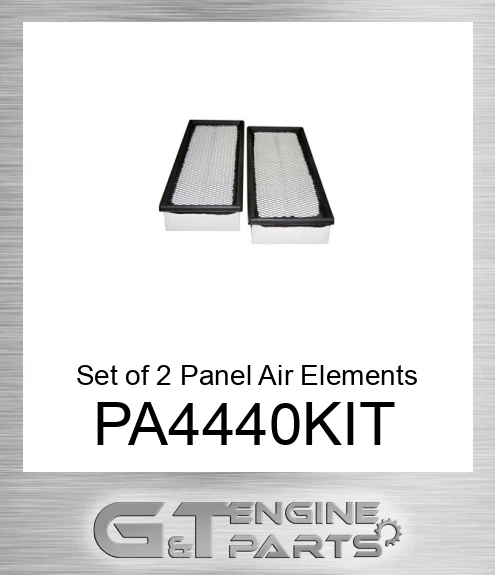 PA4440-KIT Set of 2 Panel Air Elements