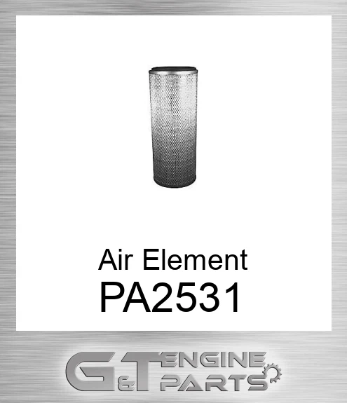 PA2531 Air Element