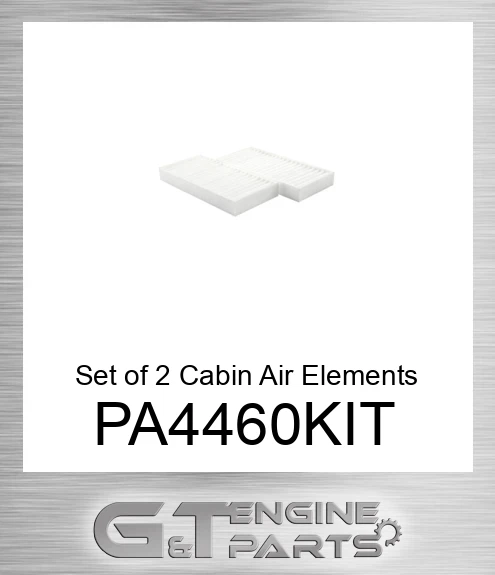 PA4460-KIT Set of 2 Cabin Air Elements