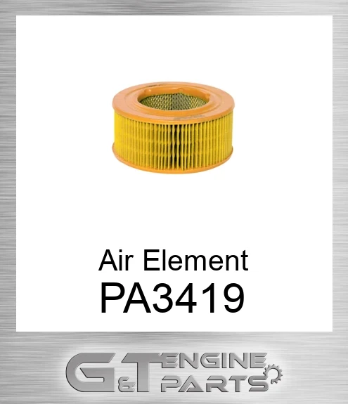 PA3419 Air Element