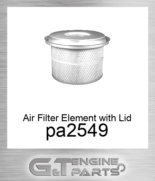 pa2549 Air Filter Element with Lid and Lift Tab
