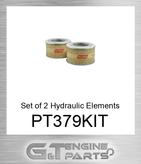 PT379-KIT Set of 2 Hydraulic Elements