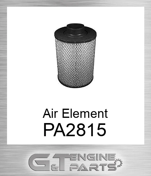 PA2815 Air Element