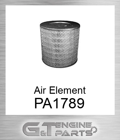 PA1789 Air Element