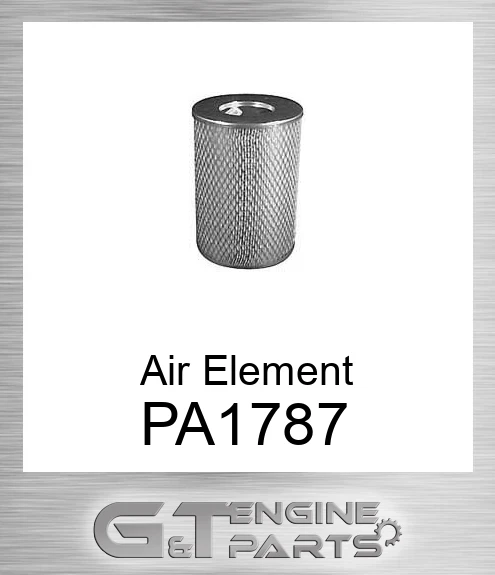PA1787 Air Element