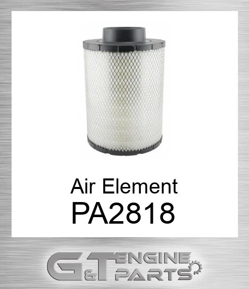 PA2818 Air Element