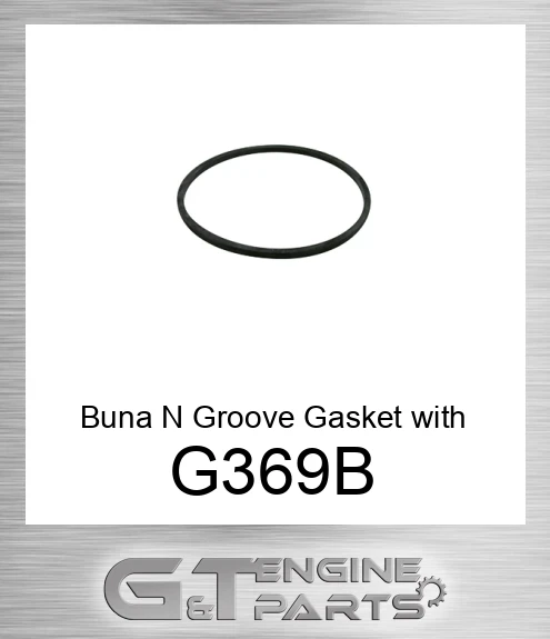 G369-B Buna N Groove Gasket with Blue Stripe