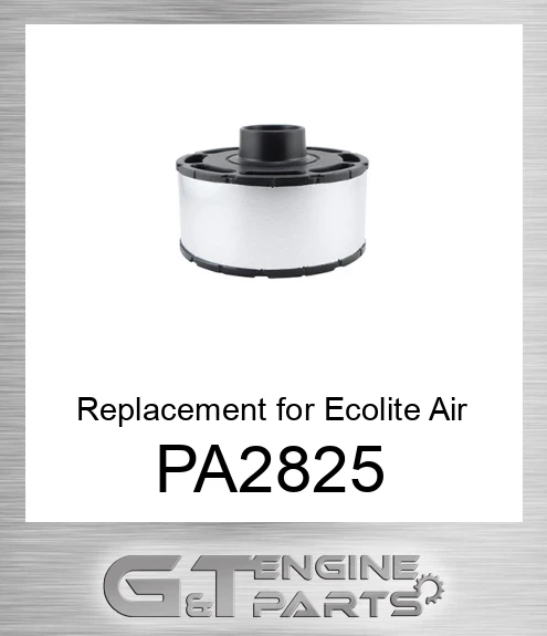 PA2825 Replacement for Ecolite Air Element in Disposable Housing
