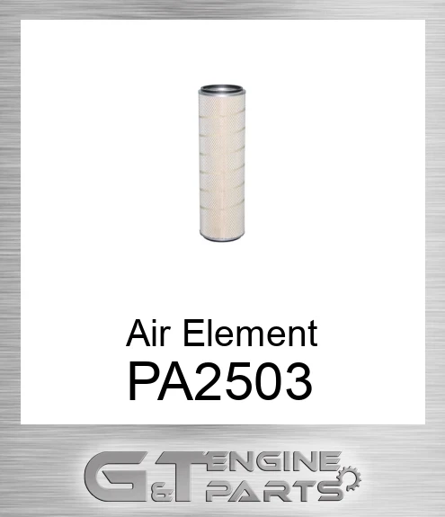 PA2503 Air Element
