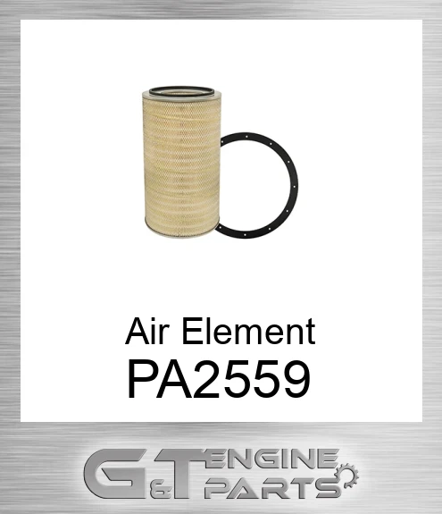 PA2559 Air Element