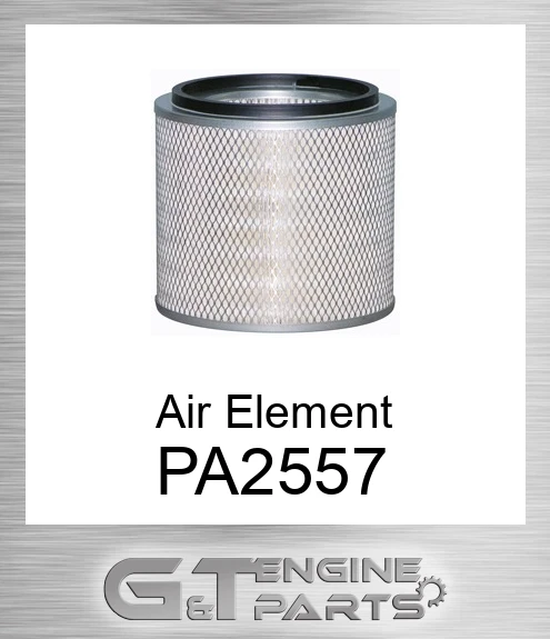 PA2557 Air Element