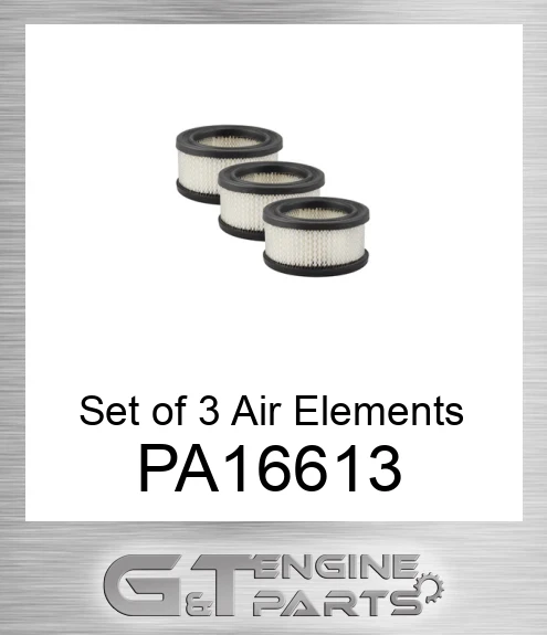 PA16613 Set of 3 Air Elements