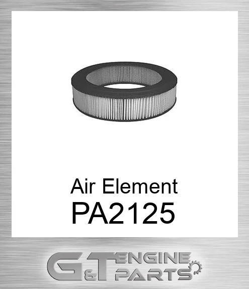 PA2125 Air Element