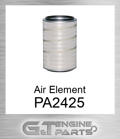 PA2425 Air Element