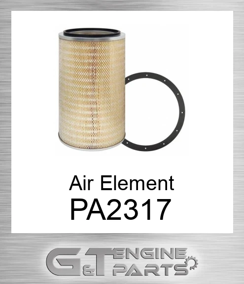 PA2317 Air Element