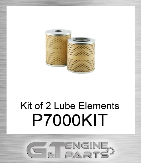 P7000-KIT Kit of 2 Lube Elements