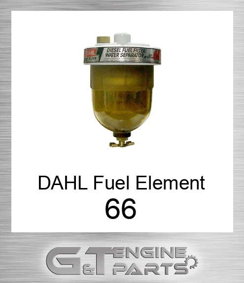66 DAHL Fuel Element