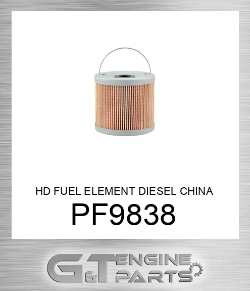 pf9838 HD FUEL ELEMENT DIESEL CHINA