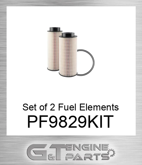 PF9829-KIT Set of 2 Fuel Elements