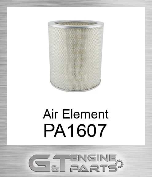 PA1607 Air Element
