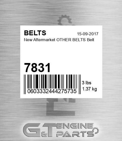 7831 New Aftermarket OTHER BELTS Belt