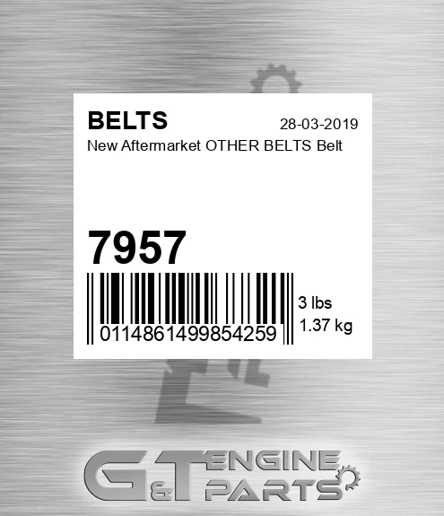 7957 New Aftermarket OTHER BELTS Belt