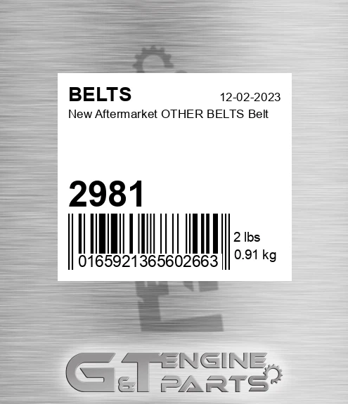 2981 New Aftermarket OTHER BELTS Belt