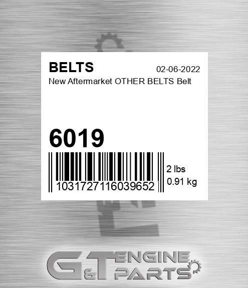 6019 New Aftermarket OTHER BELTS Belt