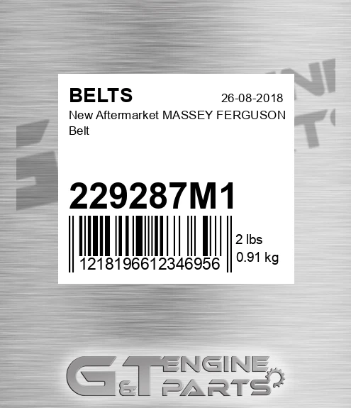 229287M1 New Aftermarket MASSEY FERGUSON Belt
