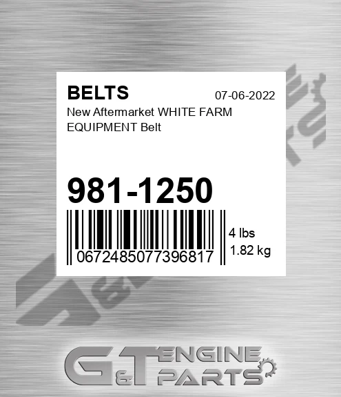 981-1250 New Aftermarket WHITE FARM EQUIPMENT Belt