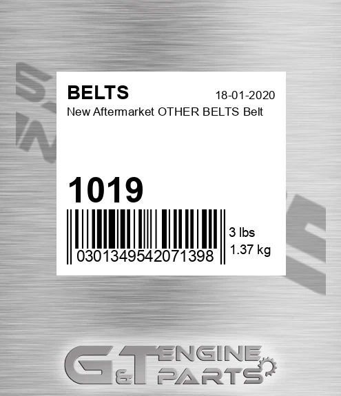 1019 New Aftermarket OTHER BELTS Belt