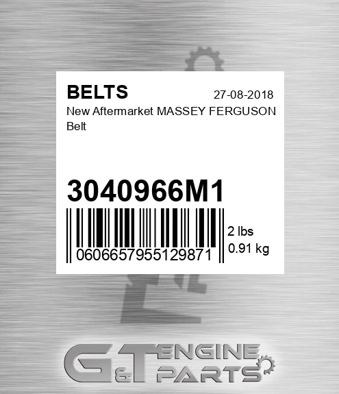 3040966M1 New Aftermarket MASSEY FERGUSON Belt