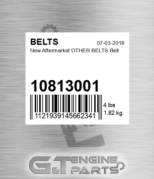 10813001 New Aftermarket OTHER BELTS Belt