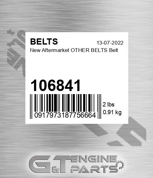 106841 New Aftermarket OTHER BELTS Belt