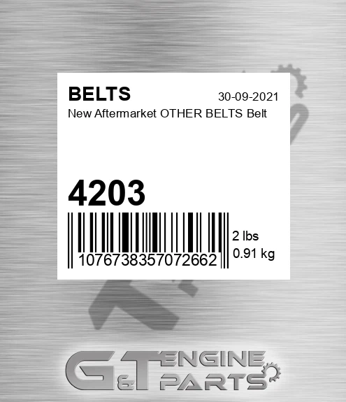 4203 New Aftermarket OTHER BELTS Belt